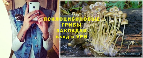 ALPHA PVP Белокуриха